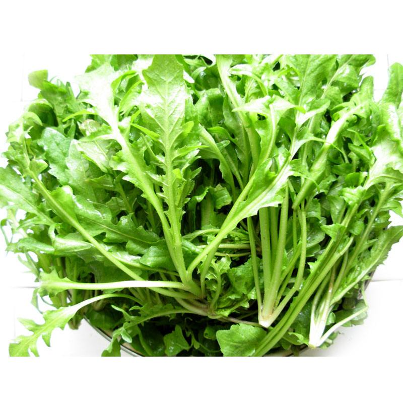 什么是荠菜图片 荠菜在农村叫什么菜