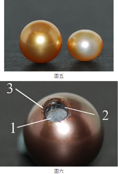 染色珍珠 染色珍珠图片