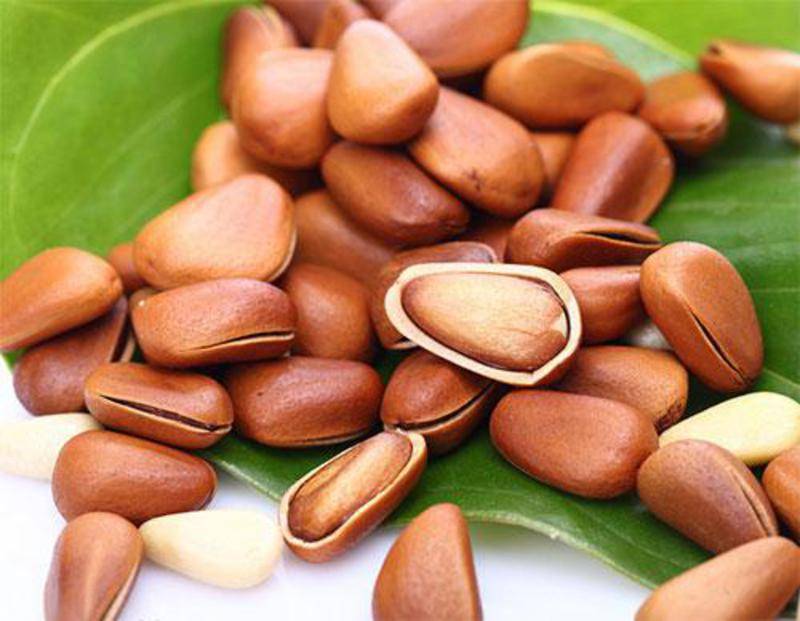 松子价格 松子价格多少钱一斤