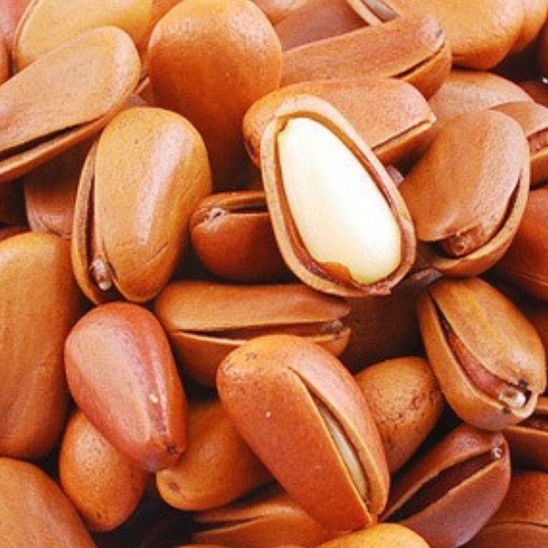 松子价格 松子价格多少钱一斤