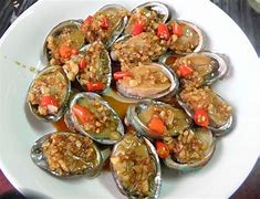 鲍鱼 鲍鱼属于什么类型动物