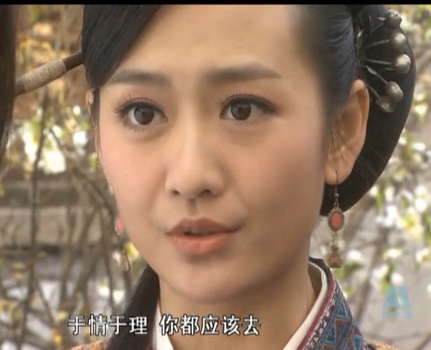 镖行天下前传之燃眉危机 镖行天下前传之燃眉危机电影