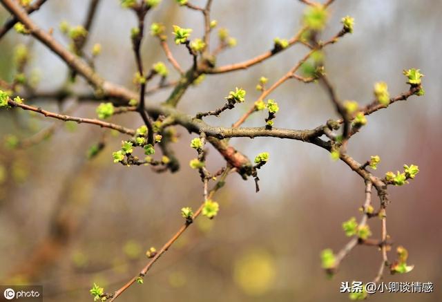描写春天的排比句 描写春天的排比句子