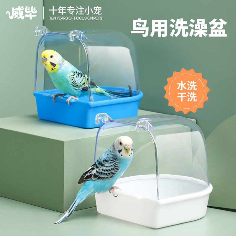 虎皮鹦鹉洗澡 虎皮鹦鹉洗澡吗