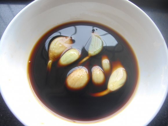 腊八醋 腊八醋打开有泡沫