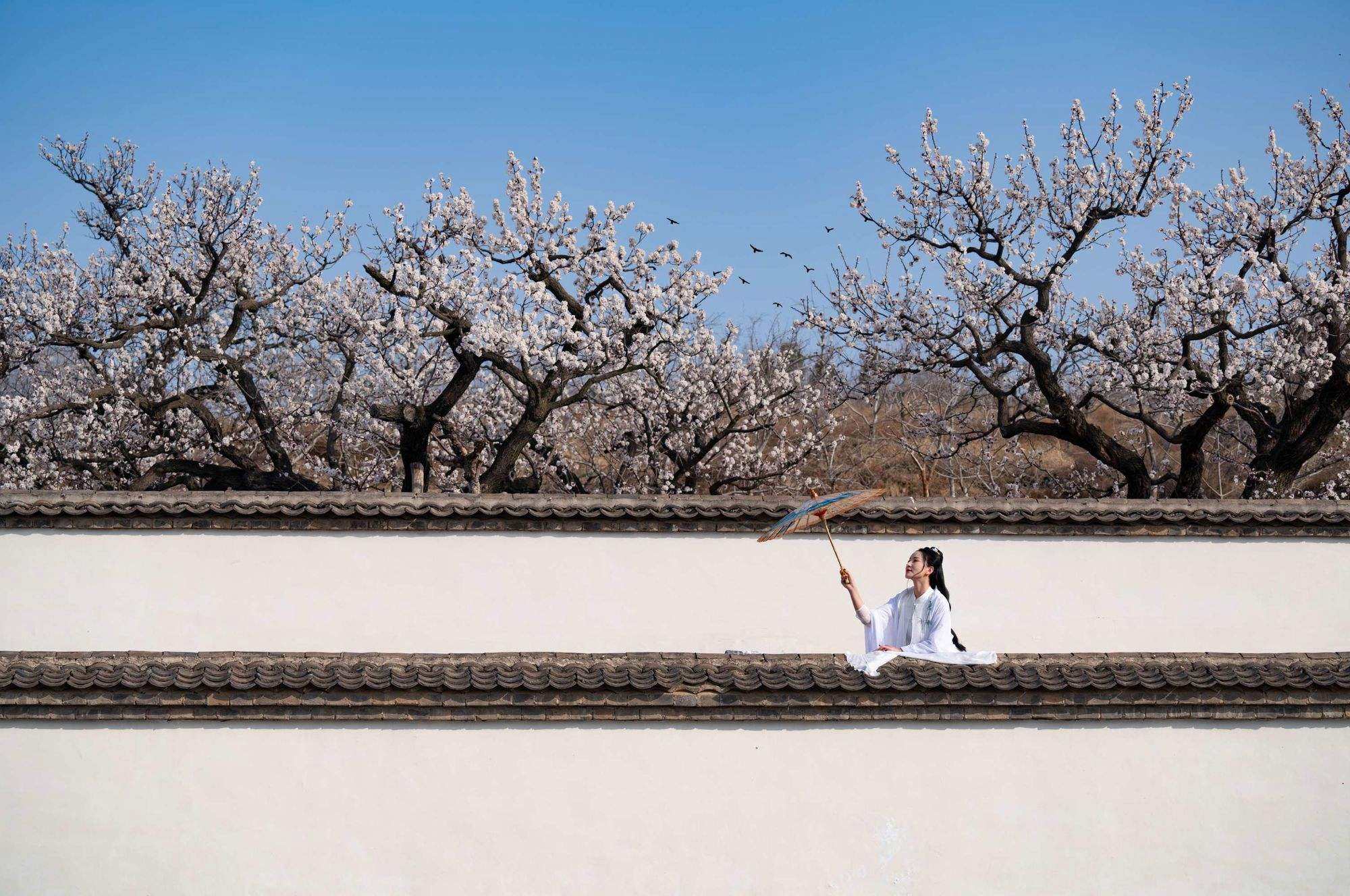 一枝红杏出墙来上一句 一枝红杏出墙来 上一句