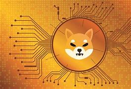 波卡币 波卡币是什么