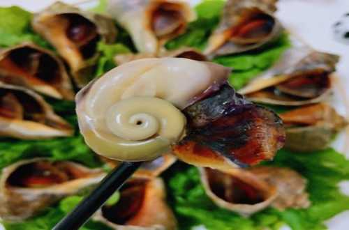 蒸海螺需要多长时间 蒸海螺冷水蒸还是上汽蒸