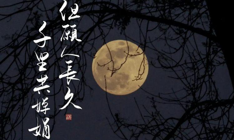 婵娟指的是什么 婵娟指的是什么意思 字词 婵娟指的是什么 婵娟指的是什么意思 字词