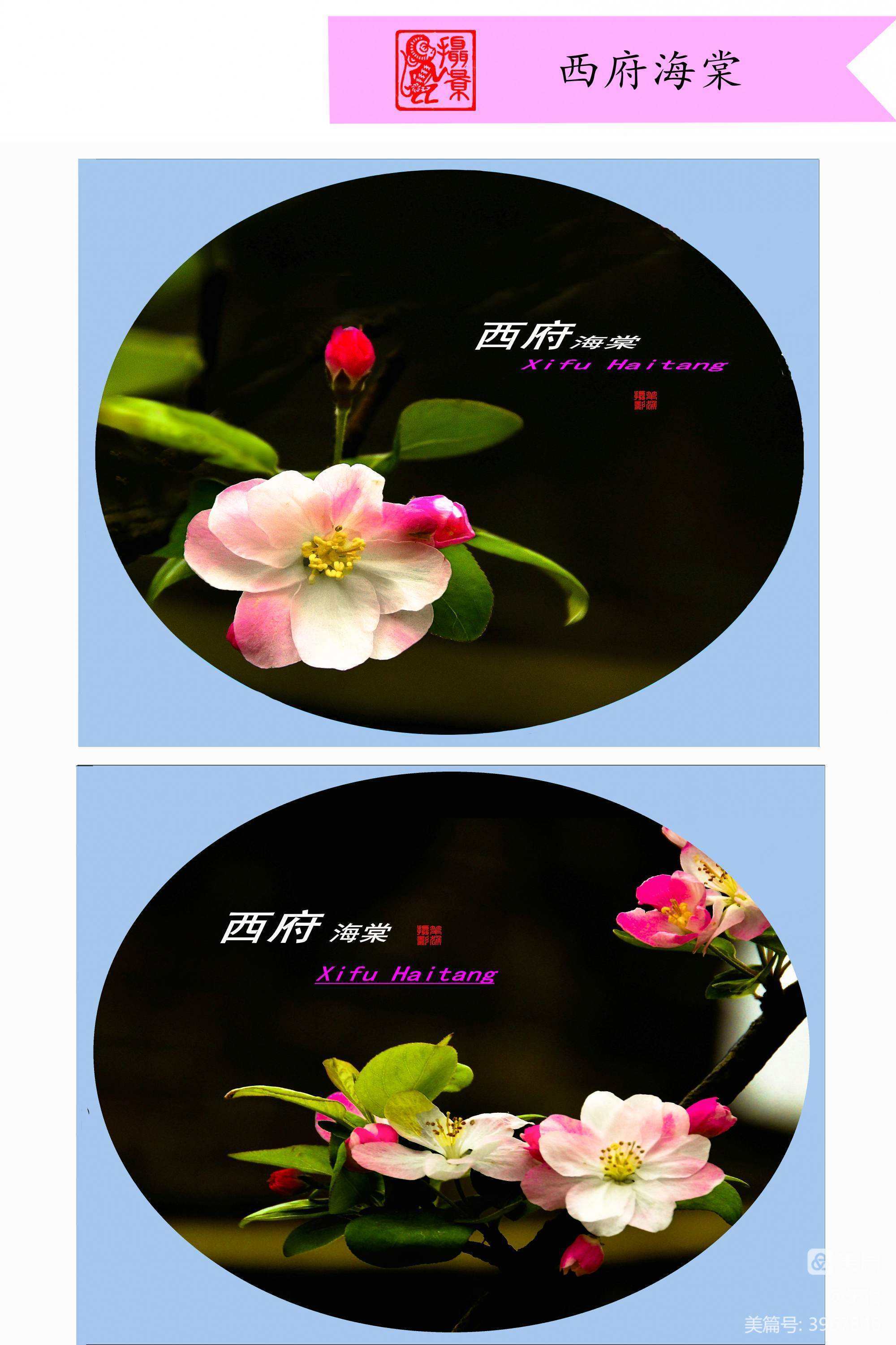 四品 四品典仪是什么职位 四品 四品典仪是什么职位