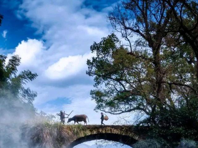 大年初一立春 大年初一立春第二部