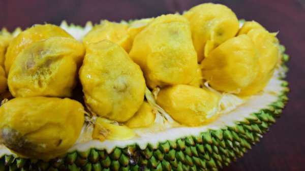 菠萝蜜和榴莲 菠萝蜜和榴莲哪个贵