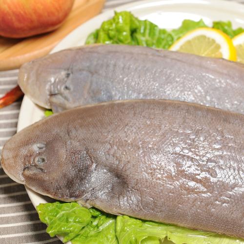 鳎目鱼 鳎目鱼是什么鱼