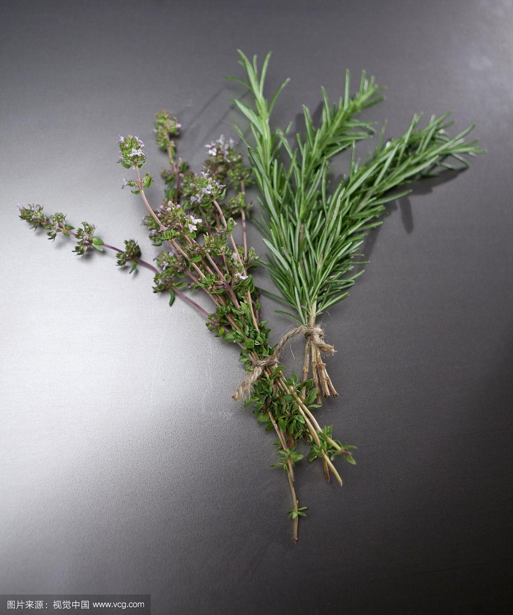 百里香和迷迭香的区别 百里香和迷迭香的区别图片