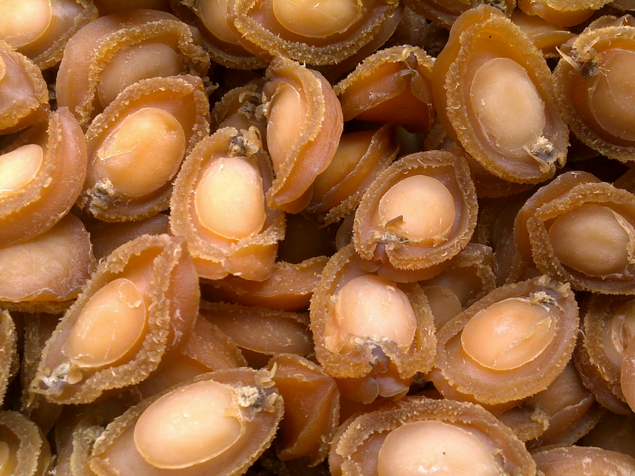 鲍鱼干怎么做 鲍鱼干怎么做着吃